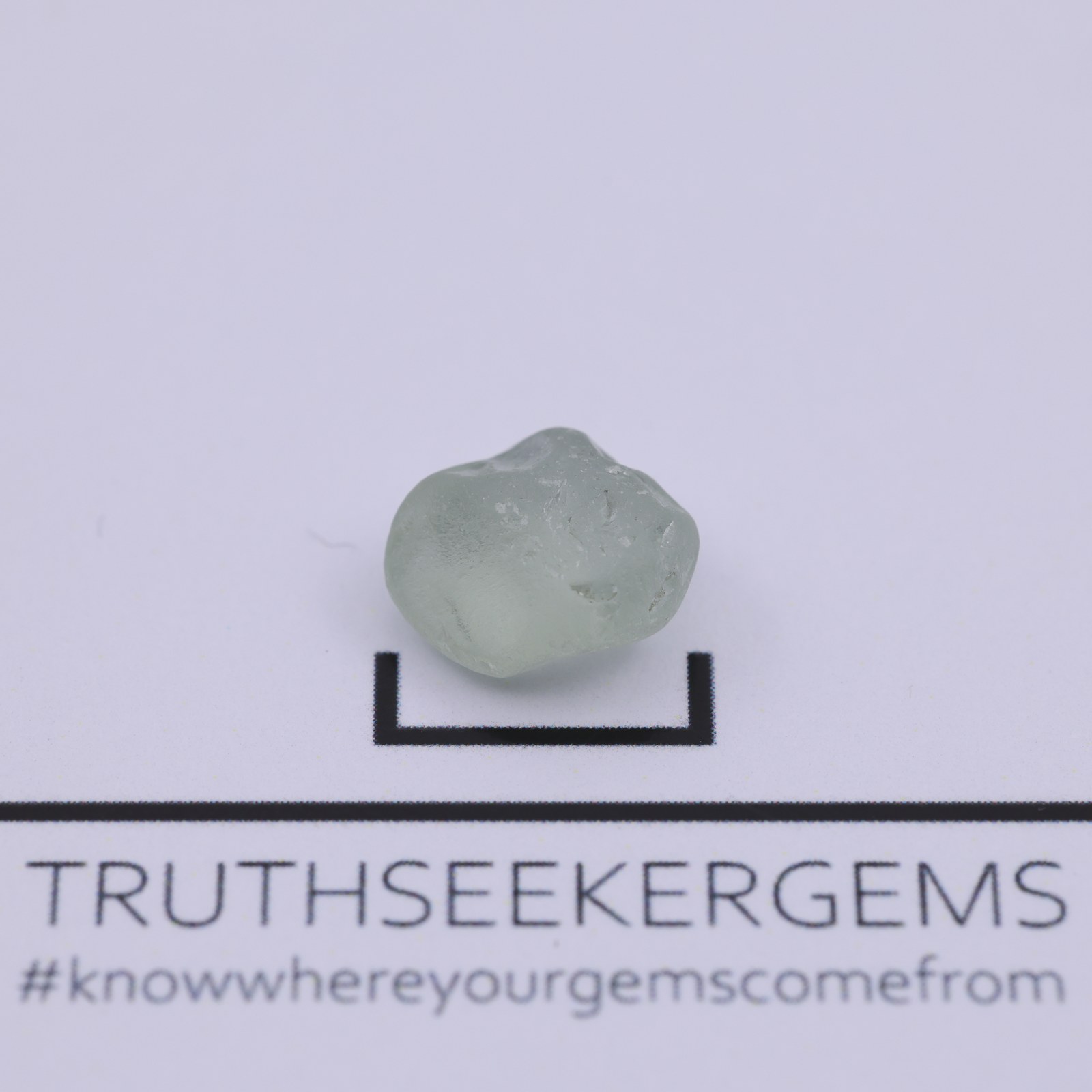 FCR-S-446