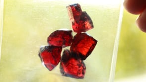 RJ1828