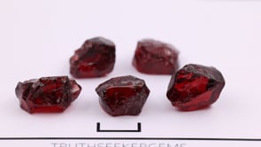 RJ1847