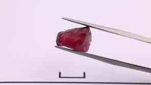 RJ-S-101