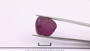 FCR080