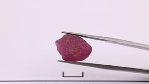 JSR0135