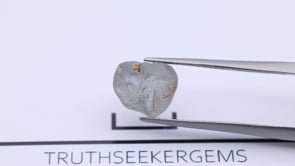 RJ1544